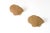 2020s Clam Shell Pencil Reed Rattan Wall Sconce (Set of 2) For Sale - Image 5 of 9