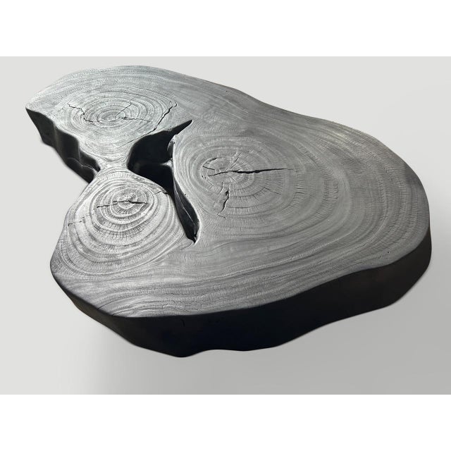 Andrianna Shamaris Impressive Single Slab Suar Wood Charred Coffee Table For Sale - Image 4 of 18