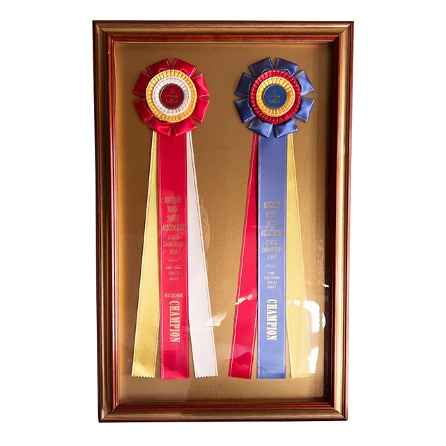 Framed Missouri Horse Show Champion Rosettes, Equestrian Wall Art, 1992 For Sale - Image 16 of 17