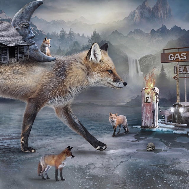 Contemporary Shelter - Spirit of the Fox by Marcin Owczarek | Photography of a fox with surreal elements For Sale - Image 3 of 5