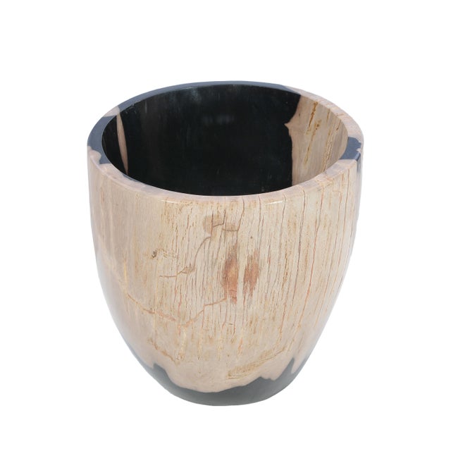 This exceptional petrified wood vase is a unique natural object formed over millions of years in Indonesia. Every piece is...