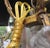 Metal French Gilt Bronze 8 Light Crystal Chandelier Circa 1900 For Sale - Image 7 of 18