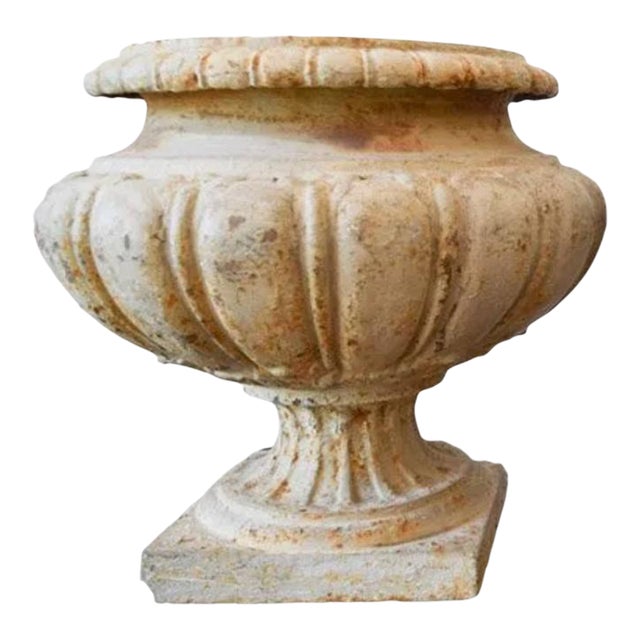 19th Century Cast Iron Cream Planter For Sale