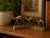 Bring a touch of vintage global charm to your home with this striking brass camel caravan sculpture featuring three camels...