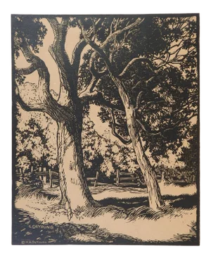 Vintage Harry Anthony DeYoung Live Oaks Block Print