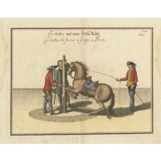 William Cavendish, Courbette Horse Training, 1700s, Engraving For Sale
