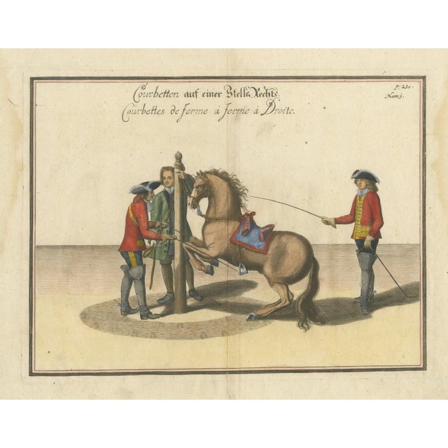 William Cavendish, Courbette Horse Training, 1700s, Engraving For Sale