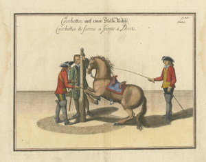 William Cavendish, Courbette Horse Training, 1700s, Engraving
