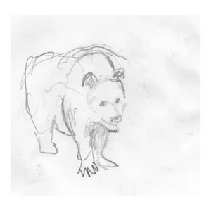 1970s John Reilly Bear Drawing