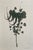 2020s Set of 6 - One-of-a-Kind Dark Green Botanical Organic Modern Original Oil Paintings / Herbarium / Floral / Earth Tones For Sale - Image 5 of 11