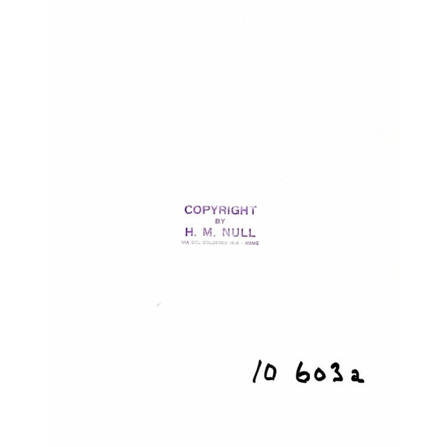 Tobacco Leaves by Harold Null is a vintage photographic print on baryta paper. Print came from the work “ Riva di Pò”...