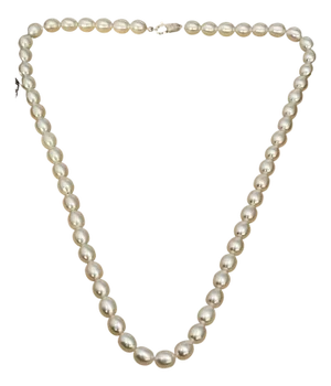 Fresh Water Elongated Pearl Single Strand Necklace, Silver Clasp