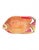 Vintage Hand-Carved & Painted Wooden Fish Serving Platter / Wall Art For Sale In Jacksonville, FL - Image 6 of 9