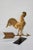Late 19th Century 19th Century Gilded Rooster Weathervane For Sale - Image 5 of 9