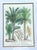 Vintage Framed Botanical Palm Illustrations - Set of 2 For Sale - Image 10 of 15