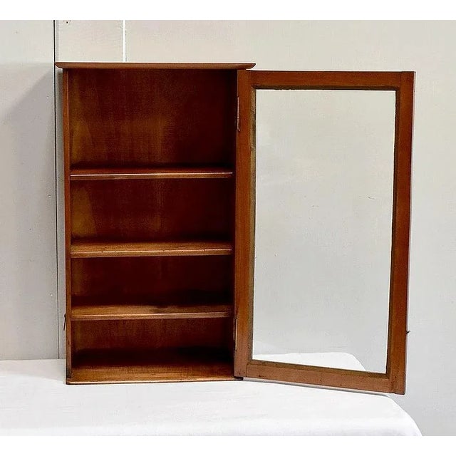 Small 19th Century Birch Wall Display Cabinet For Sale - Image 4 of 18