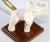 Vintage White Elephant Figurine Pen Holder, Jaipur, Rajasthan India For Sale In Palm Springs - Image 6 of 13
