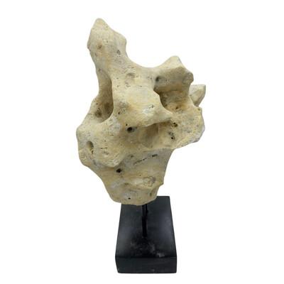 Indonesian Coral Stone On Teak Stand For Sale - Image 4 of 5