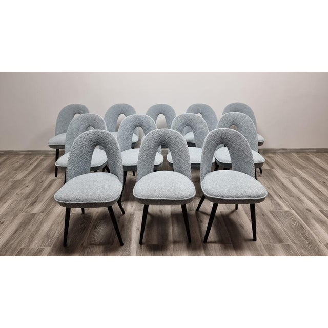 Dining Chairs by Antonin Suman, 1960s, Set of 12 For Sale - Image 10 of 15