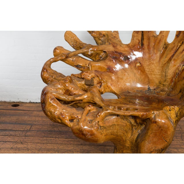Brown Rustic Vintage Chinese Camphor Wood Tree Root Armchair with Light Varnish For Sale - Image 8 of 12