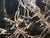 Andrianna Shamaris High Quality Petrified Wood Sculpture or Coffee Table For Sale - Image 18 of 18