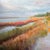 Beautiful marshscape with a rich autumnal feel. I love the wild reach of the marsh and its constant state of change. One-...