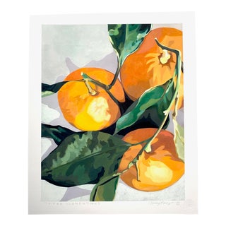 Three Clementines Cottage Abstraction Giclee by Neicy Frey For Sale
