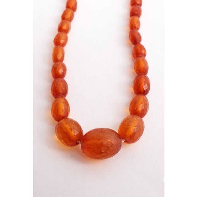 Vintage Amber Necklaces, 1960s, Set of 4 For Sale - Image 18 of 18