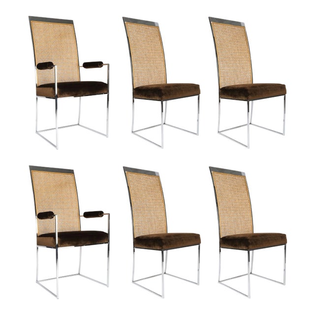Six High Back Cane Dining Chairs by Milo Baughman for Thayer Coggin For Sale