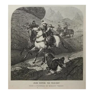 1870 Periodical Engraving Hunter on Arabian Horse