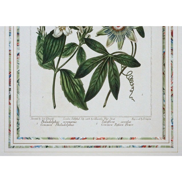 Paper Late 20th Century Pair of Gilt-Framed Large Botanical Prints: Calla Lily & Passion Flower For Sale - Image 7 of 7