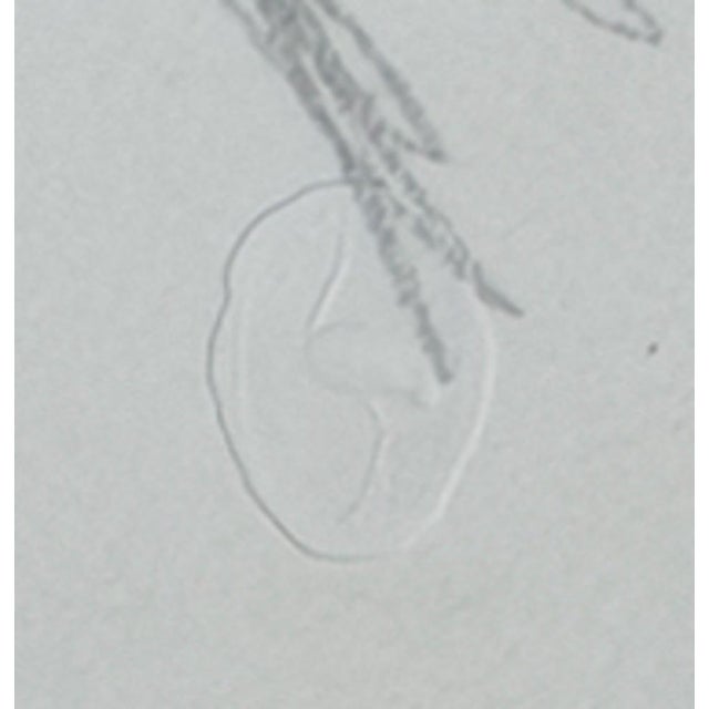 1960s Alberto Giacometti, Portrait of Diego, 1963, Original Lithograph For Sale - Image 5 of 8