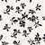 Floating Petals Wallpaper by Susan Hable in Black / Gray For Sale