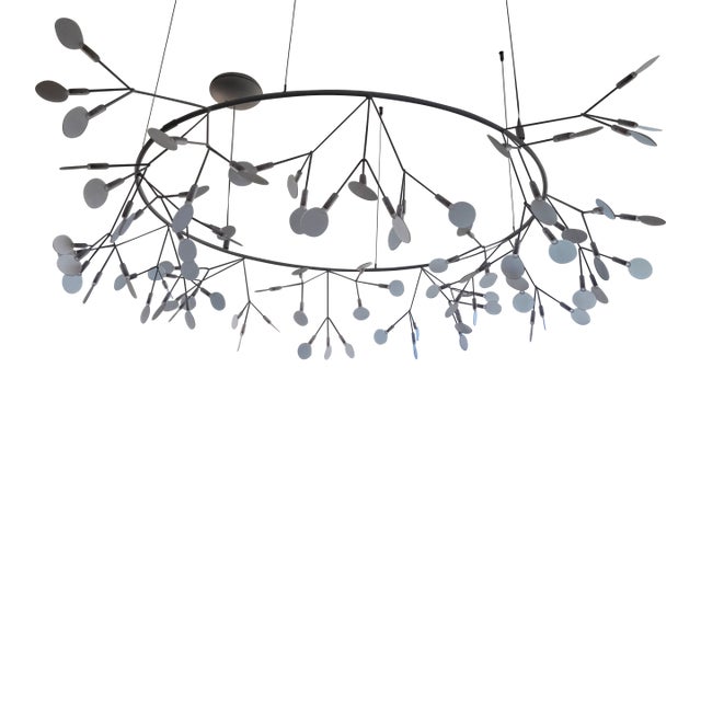 Moooi Heracleum the Small Big O Chandelier For Sale