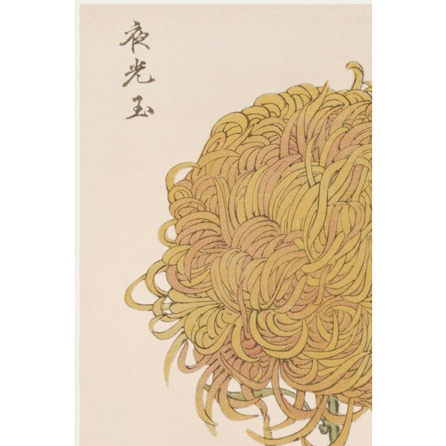A refined example of late 19th-century Japanese botanical illustration, this vintage Japanese botanical art print...