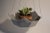 Silver Oblik Studio Hanging Planter 02 For Sale - Image 8 of 8