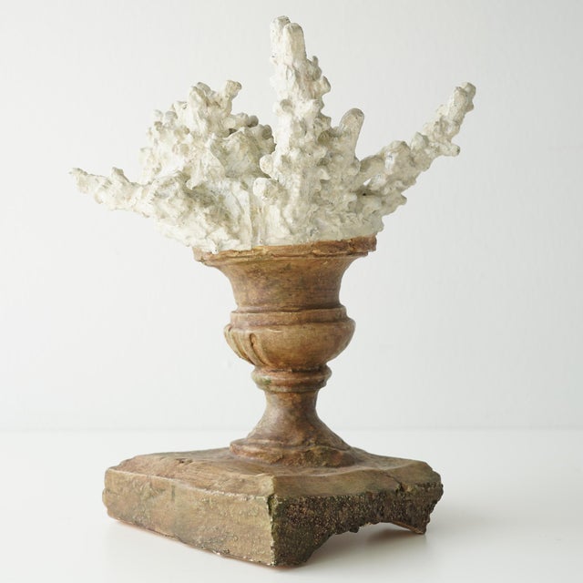 20th century assemblage of a faux coral in an antique Italian urn. This decorative sculpture is an interpretation of coral...
