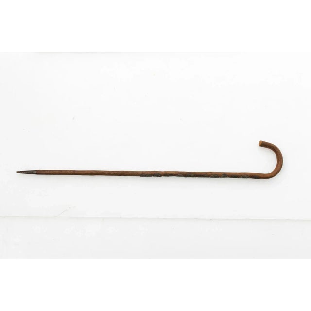 Vintage German Walking Sticks For Sale - Image 11 of 13