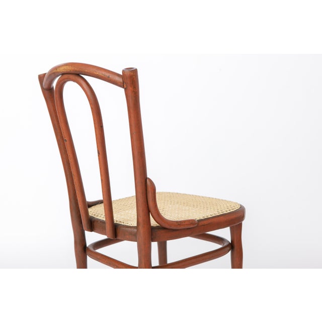Wood Antique Austrian Bentwood Rattan Bistro Chair in the Style of Thonet No. 56, 1930s For Sale - Image 7 of 12