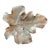 Virginia Metalcrafters Brass Fig Leaf For Sale