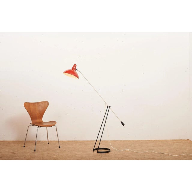 Tivoli Grasshopper Floor Lamp by Floris Fiedeldij for Artimeta, 1956 For Sale - Image 10 of 11