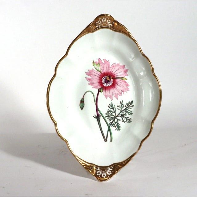 Spode Spode Porcelain Botanical Specimen Dishes- a Pair. After William Curtis For Sale - Image 4 of 12