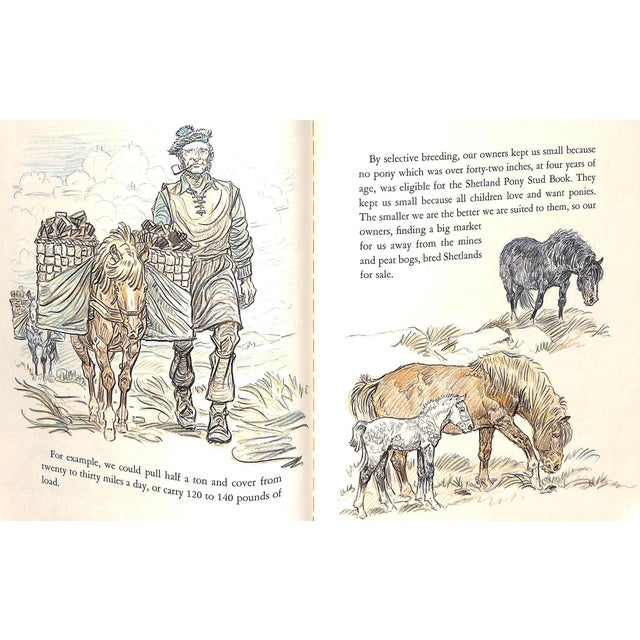 "Your Pony's Trek Around the World" 1956 Brown, Paul For Sale - Image 15 of 15