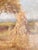20th Century American Tonalist Fall Landscape With Corn Stalks by William Charles Stevens For Sale - Image 11 of 15