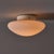 Quattrifolio 1971 Sergio Mazza 'Magnolia' Ceiling Lamp for Quattrifolio For Sale - Image 4 of 17