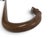 Antique wood walking stick cane with a carved crook handle resembling a deer hoof. Measures 36" x 4 1/2" x 7/8" Excellent...