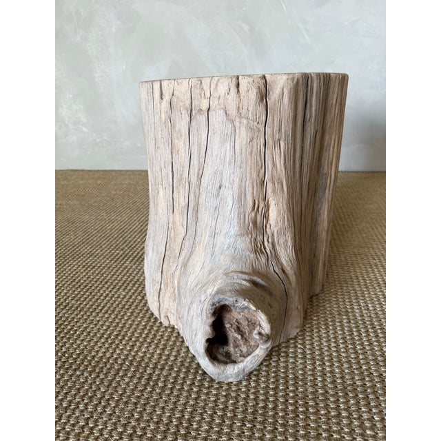 Early 21st Century Elm Wood Stump Table 52926f For Sale - Image 5 of 8