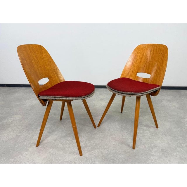 Mid-Century Modern Plywood Dining Chairs by František Jirák for Tatra N, 1960s, Set of 4 For Sale - Image 4 of 10