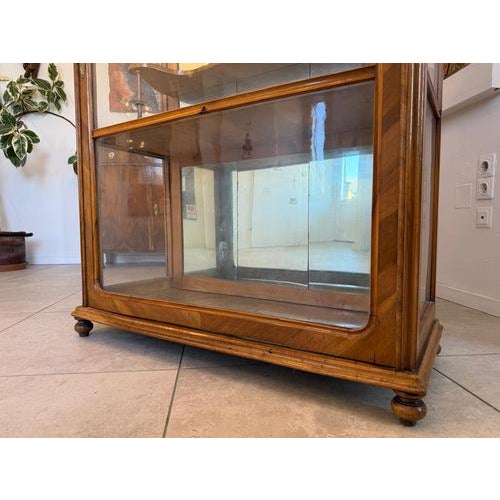 Biedermeier Display Cabinet in Walnut For Sale - Image 14 of 15
