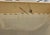 Vintage Ivory Bench For Sale In Miami - Image 6 of 6